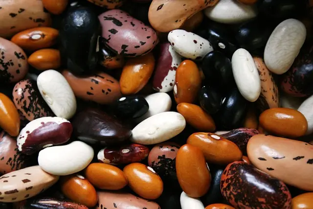 Guide d'achat sur les légumes riches en protéines